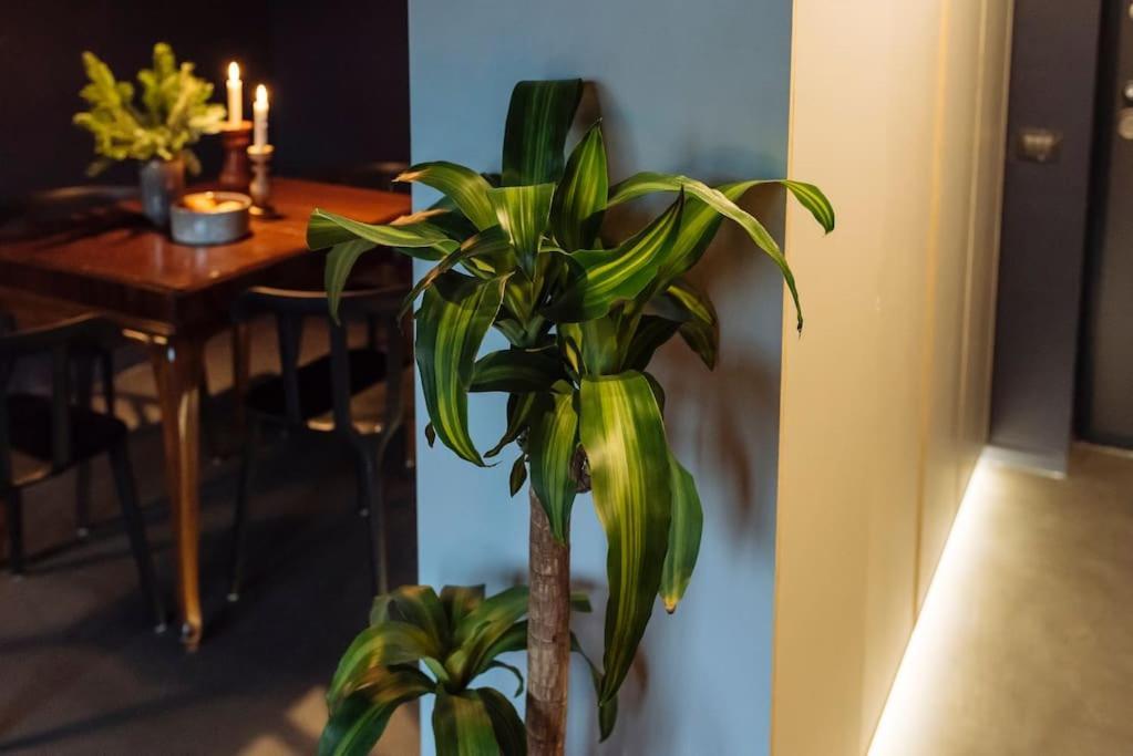 Apartament Luxury Downtown Bukareszt Zewnętrze zdjęcie